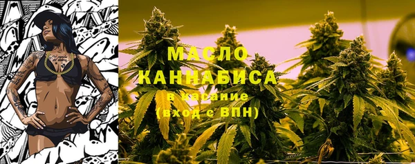 индика Аркадак