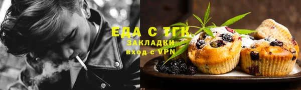 индика Аркадак