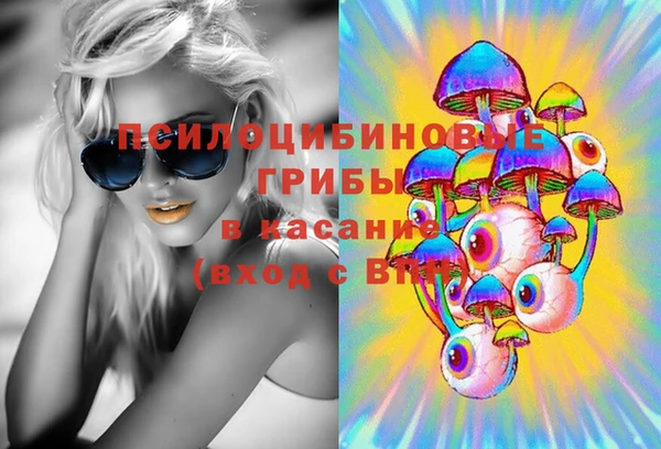 индика Аркадак