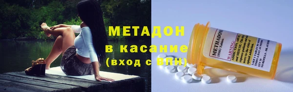 индика Аркадак