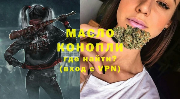 индика Аркадак