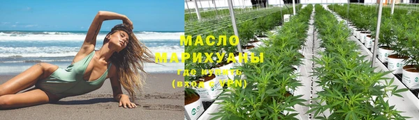 индика Аркадак